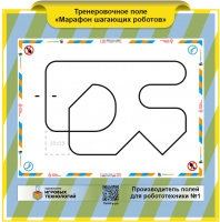 Изображение Поле " Следование по узкой линии экстремал Тренировочное "