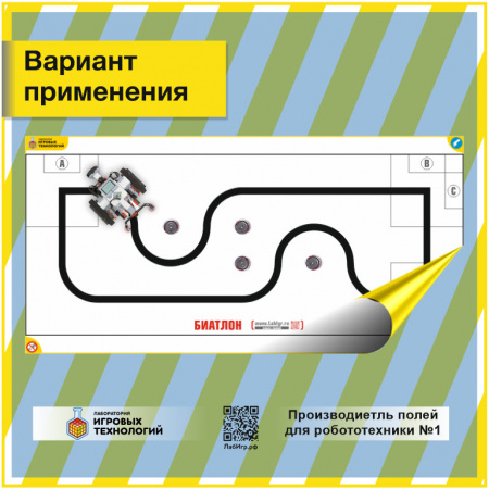 Детальное изображение Поле "Биатлон" 2420х1000 мм.